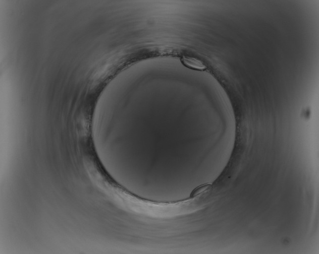 X0000116760039201001071204