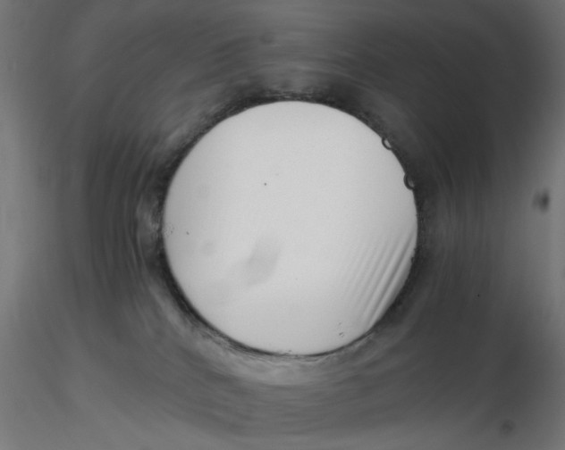 X0000116760040201001071204