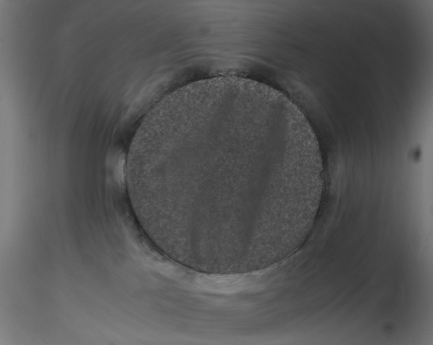 X0000116760041201001071204