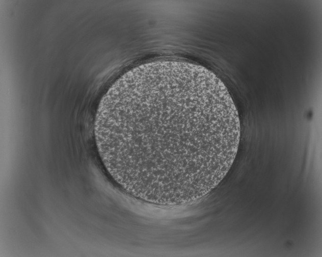 X0000116760043201001071204