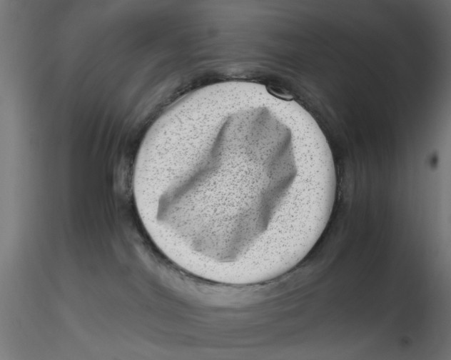 X0000116760044201001071204