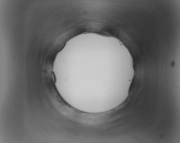 X0000116760045201001071204