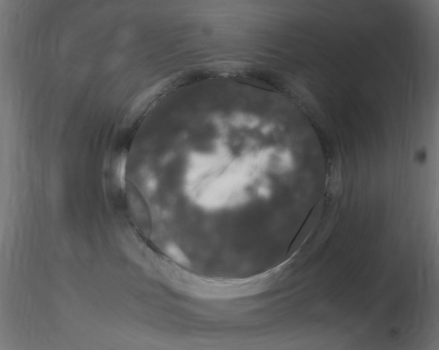 X0000116760047201001071204