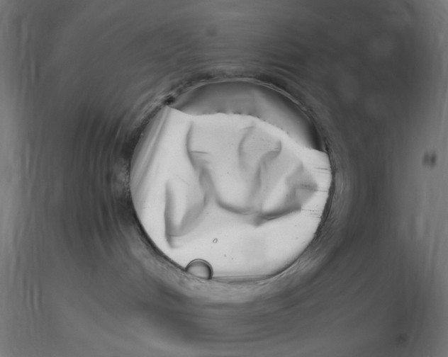 X0000116760048201001071204