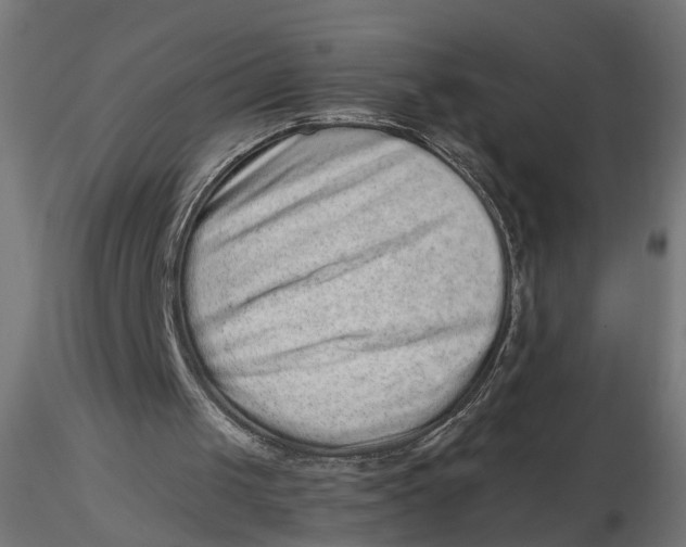 X0000116760049201001071204