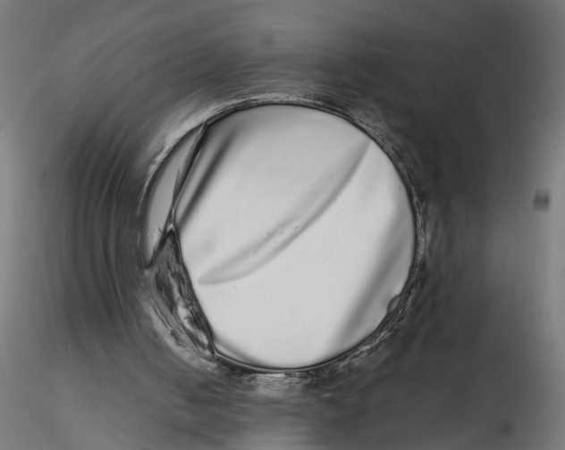 X0000116760050201001071204