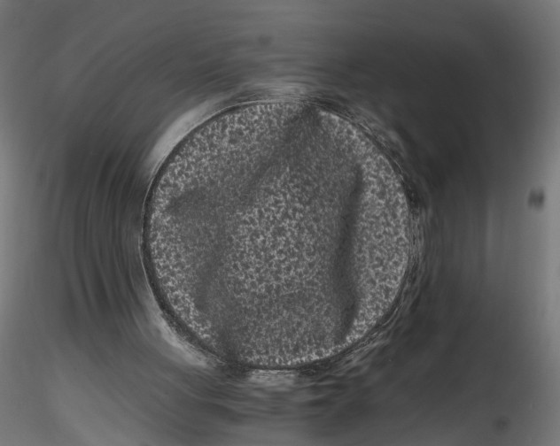 X0000116760051201001071204