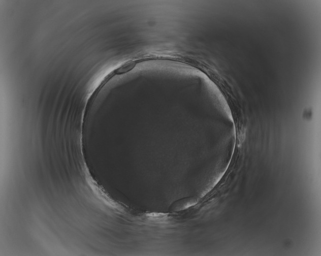 X0000116760052201001071204