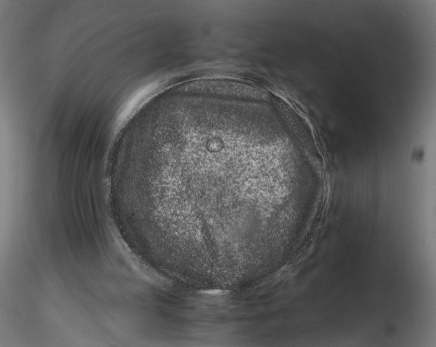 X0000116760053201001071204