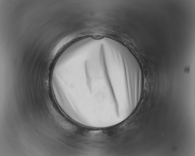 X0000116760054201001071204