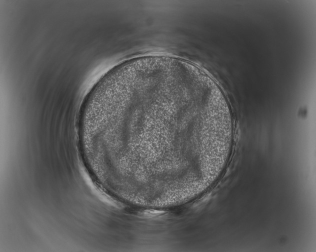 X0000116760055201001071204