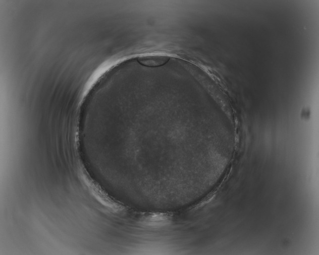 X0000116760056201001071204