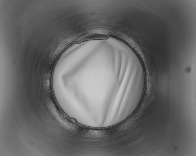 X0000116760057201001071204