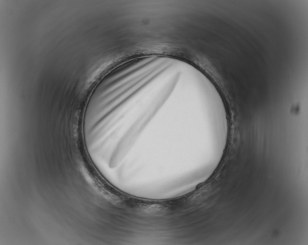 X0000116760058201001071204