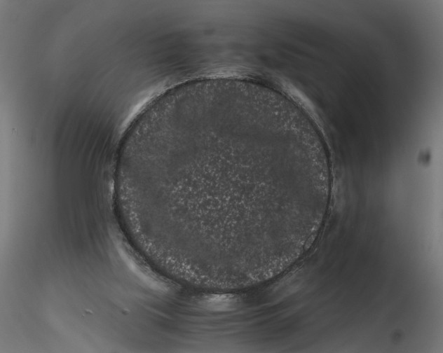 X0000116760059201001071204