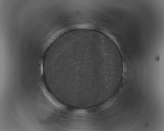 X0000116760061201001071204