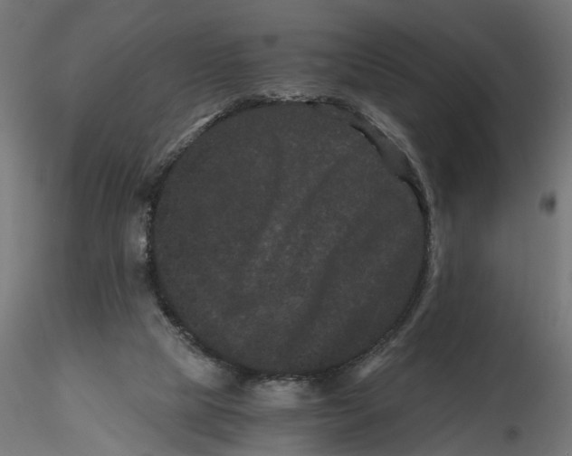 X0000116760065201001071204