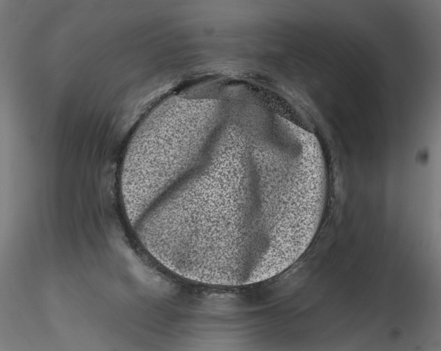 X0000116760066201001071204