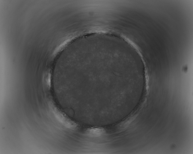 X0000116760067201001071204