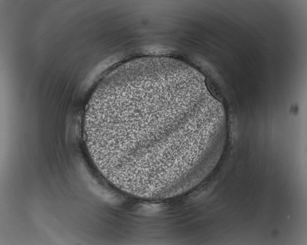 X0000116760071201001071204