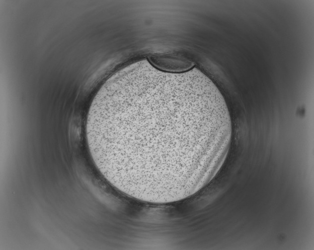 X0000116760072201001071204