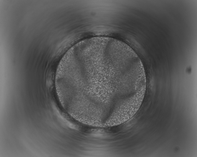 X0000116760074201001071204