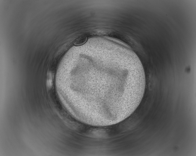 X0000116760075201001071204