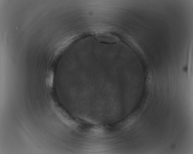 X0000116760076201001071204