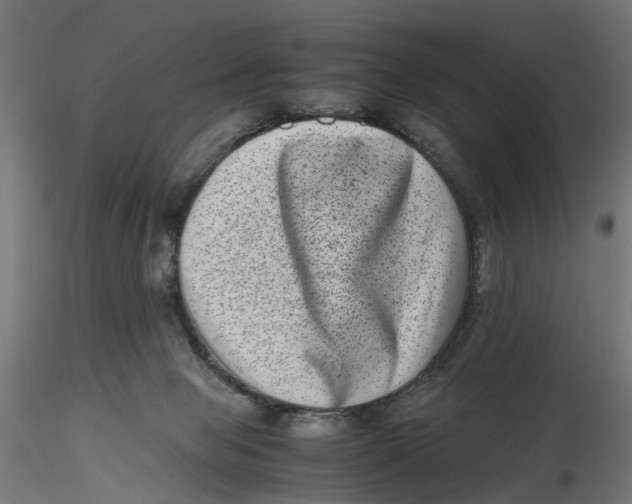 X0000116760077201001071204