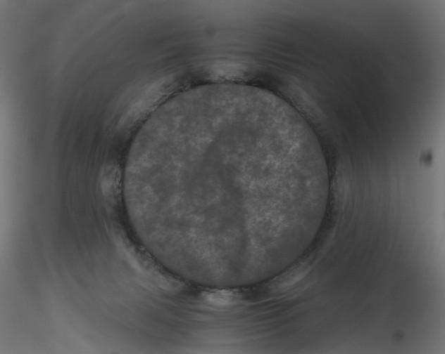 X0000116760079201001071204