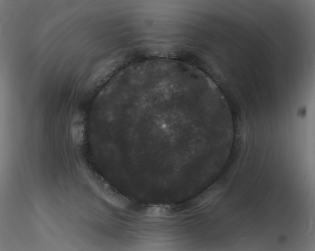 X0000116760080201001071204