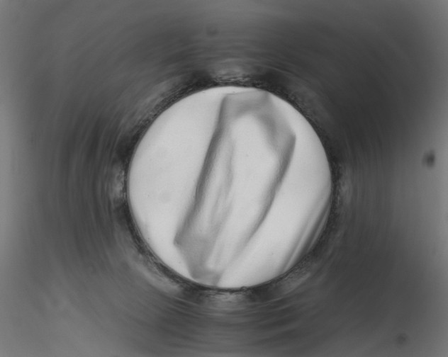 X0000116760081201001071204