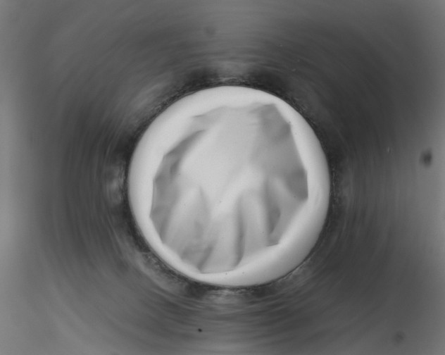 X0000116760082201001071204