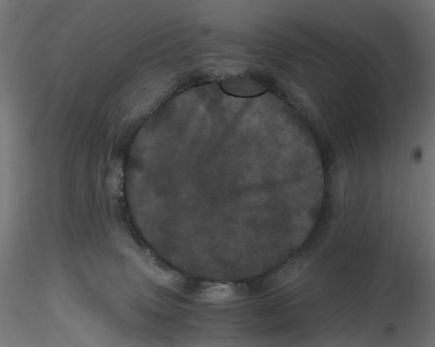 X0000116760083201001071204