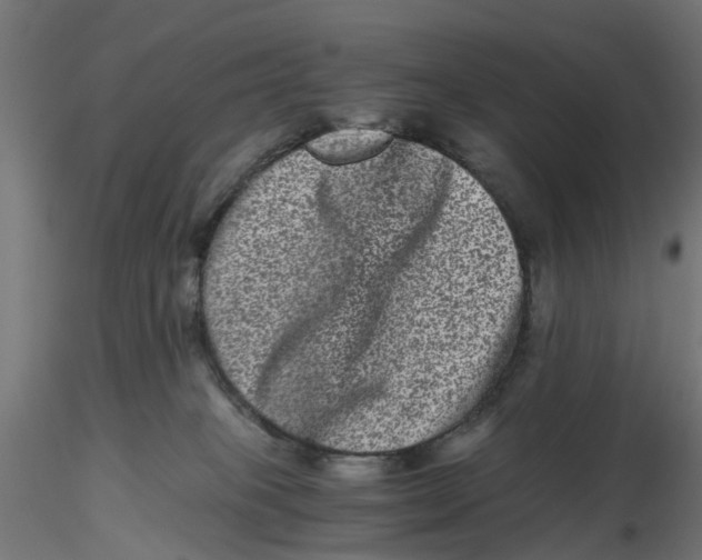 X0000116760085201001071204