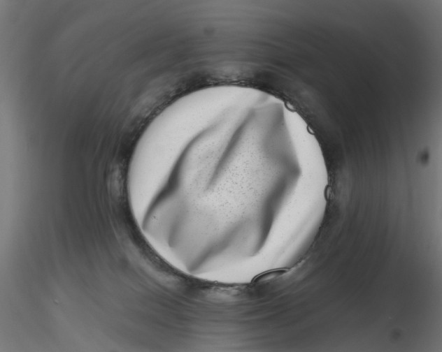 X0000116760086201001071204