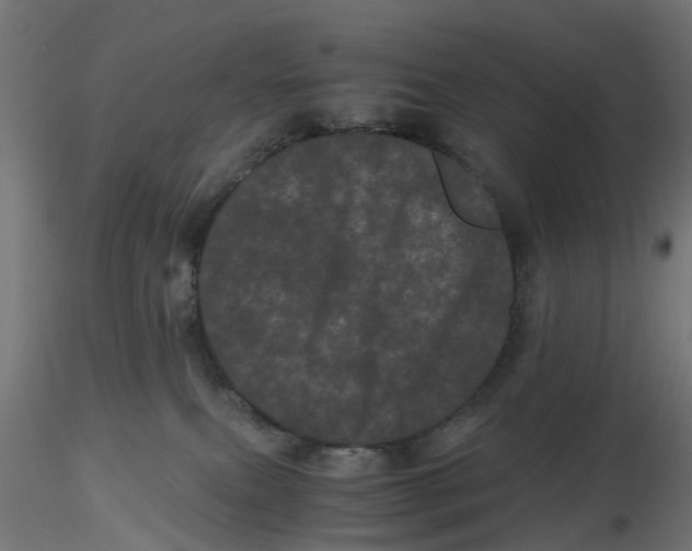 X0000116760087201001071204