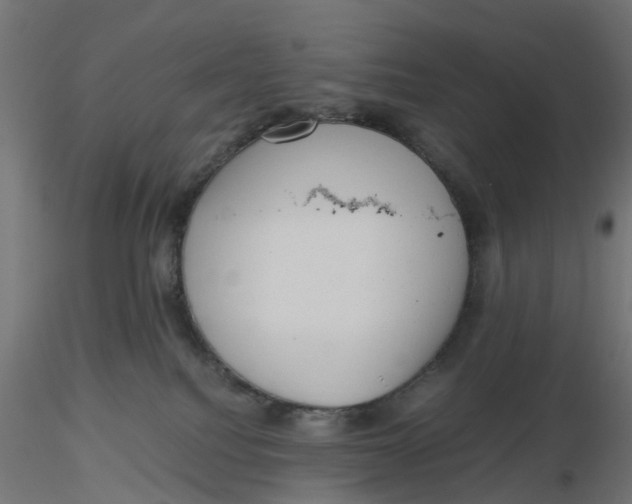 X0000116760088201001071204