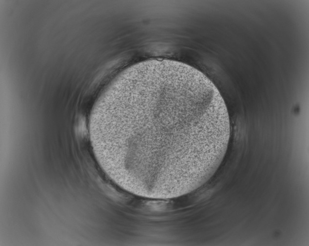 X0000116760089201001071204