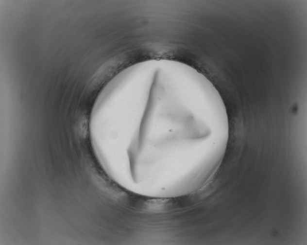 X0000116760090201001071204