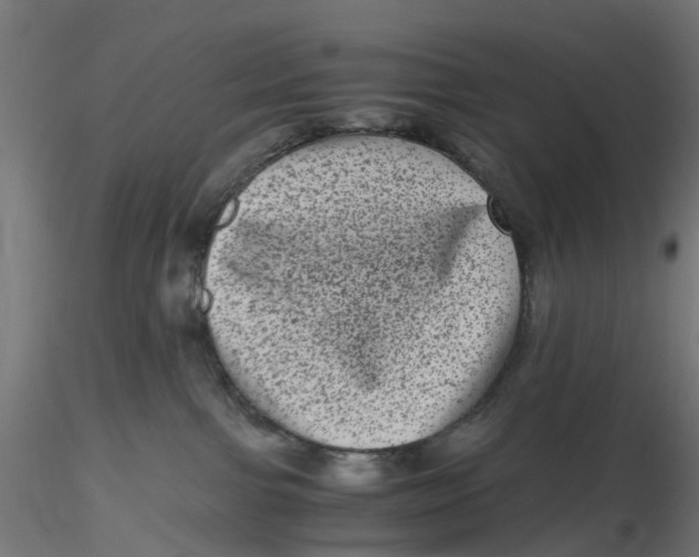 X0000116760091201001071204