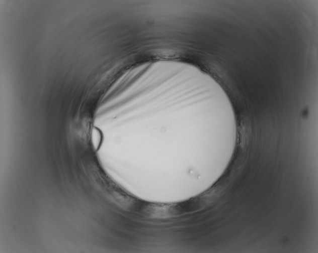 X0000116760093201001071204