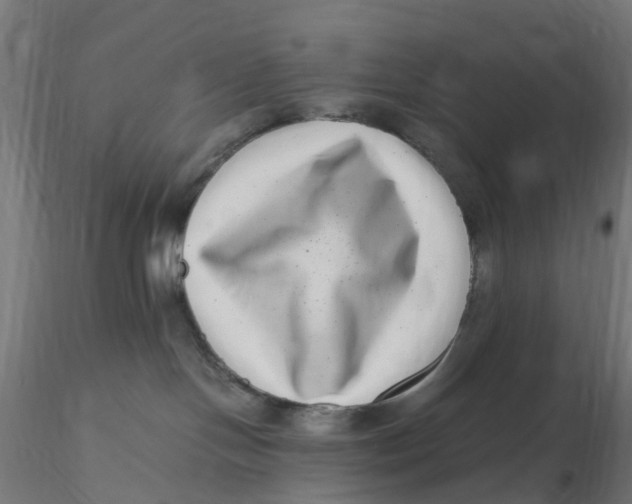 X0000116760094201001071204