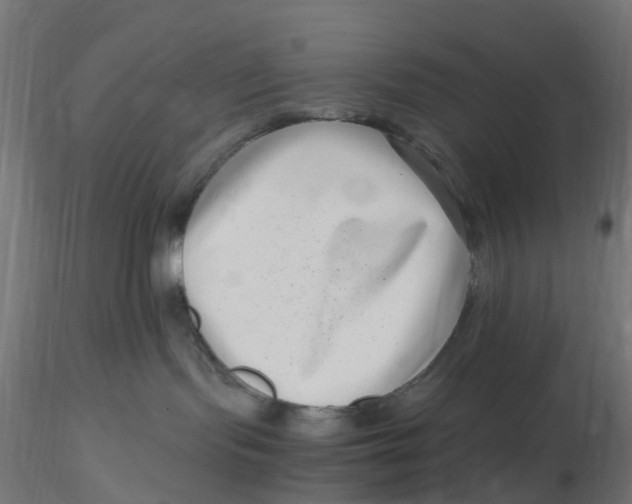 X0000116760095201001071204