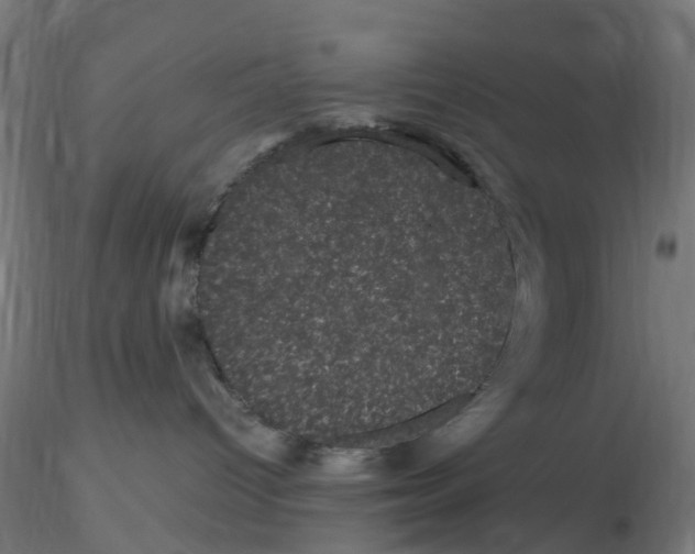 X0000116760096201001071204