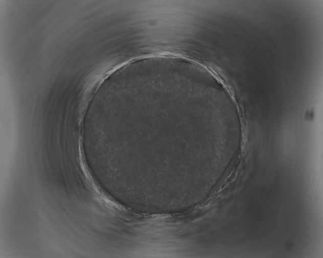 X0000116760097201001071204