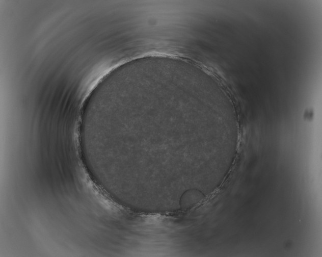 X0000116760098201001071203