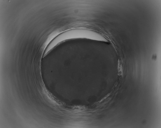 X0000116760099201001071203