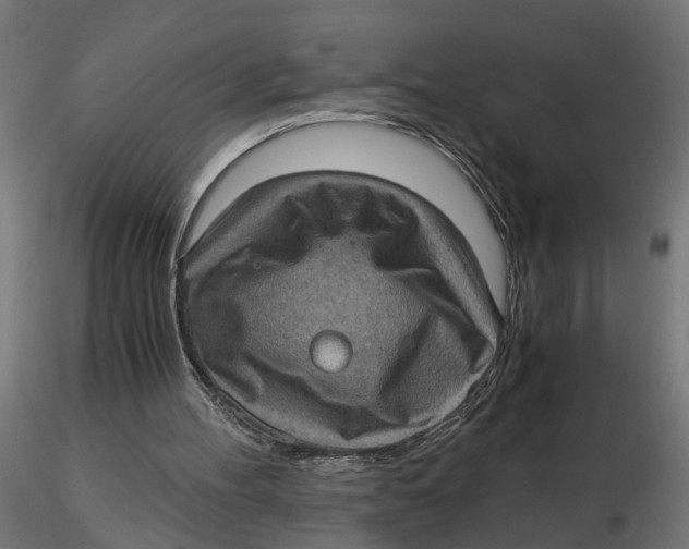 X0000116760100201001071203