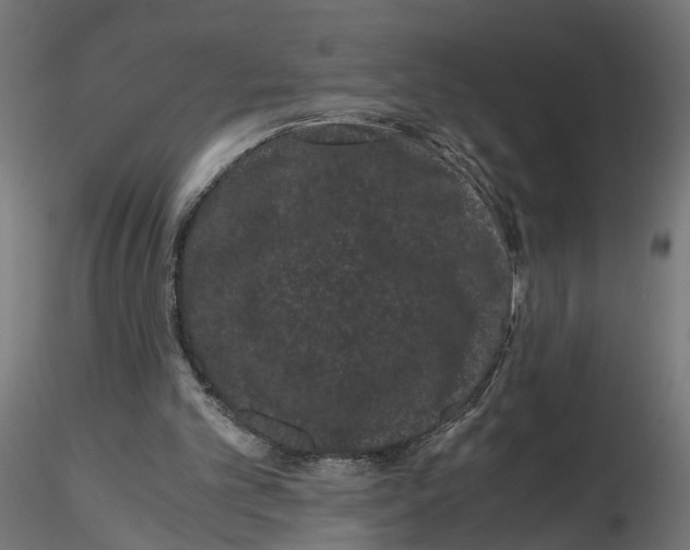 X0000116760101201001071203